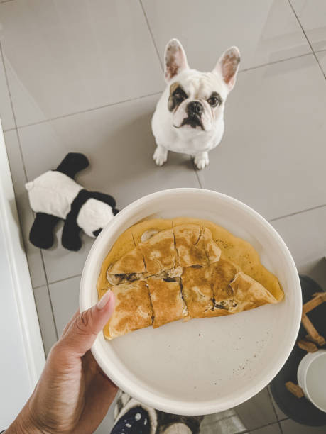 istock Homemade banana and egg pancake for dog 1380750438