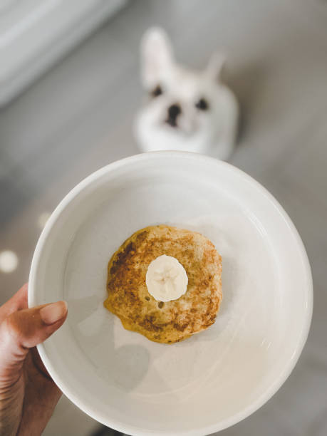 istock Homemade banana and egg pancake for dog 1380750948