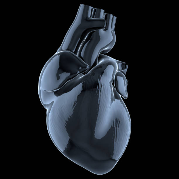 3d Heart isolated on black stock photo