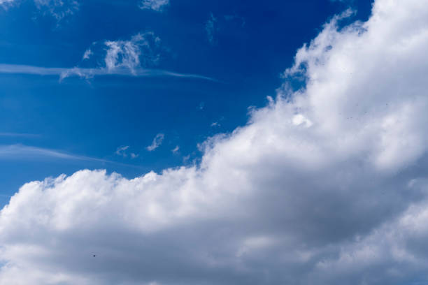 white clouds in the blue sky. cumulus.