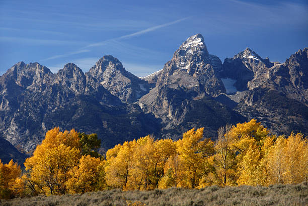 istock Grand Teton with autumn golden aspens 138077374