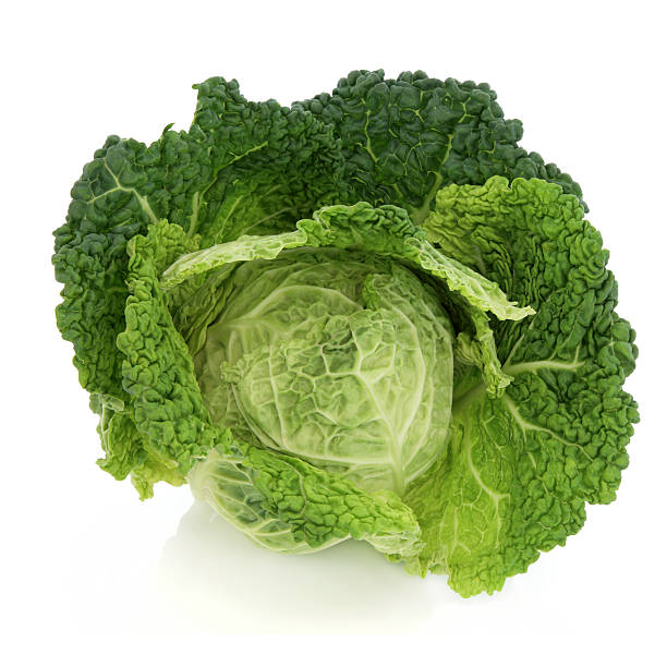 Savoy Cabbage stock photo