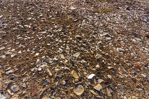 Valdez crude oil slick near Shore, brown