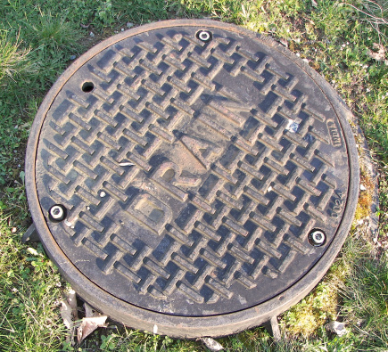 Storm drain cover in a grassy setting