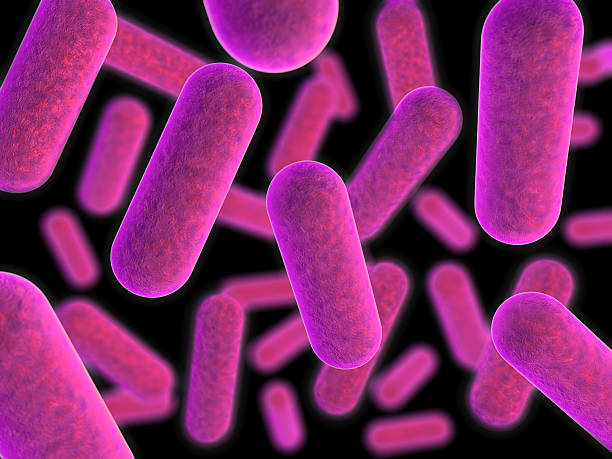 Computer generated image; gram negative bacteria like 