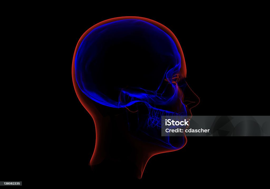X-Ray skanowania głowy - Zbiór zdjęć royalty-free (Ciało ludzkie)
