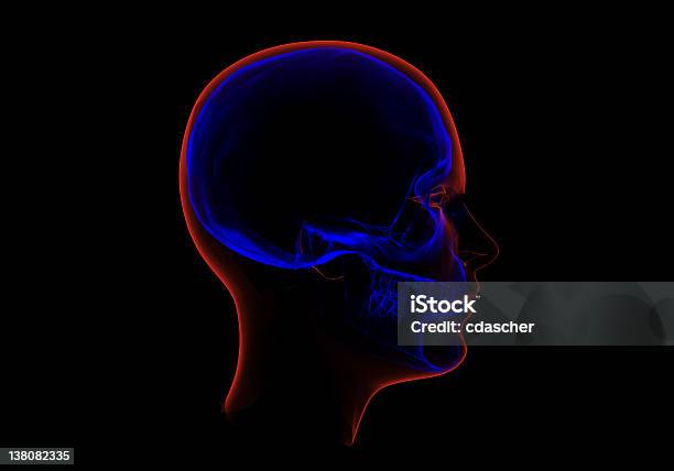 Xray Skanowania Głowy - zdjęcia stockowe i więcej obrazów Ciało ludzkie - Ciało ludzkie, Czaszka człowieka, Dane