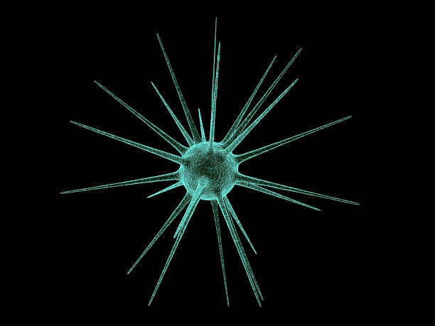 バクテリア - algae diatom high scale magnification micro organism ストックフォトと画像