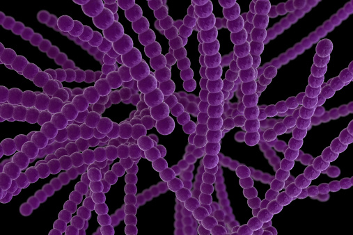 Gram positive streptococci bacteria which grow in chains. Computer generated 3D image.