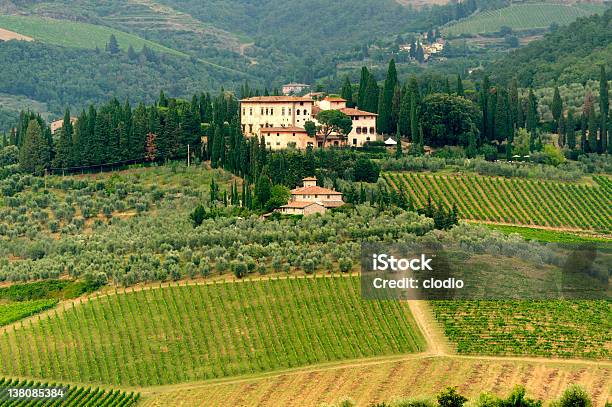 Weinberge In Chianti Toskana Stockfoto und mehr Bilder von Agrarbetrieb - Agrarbetrieb, Anhöhe, Außenaufnahme von Gebäuden