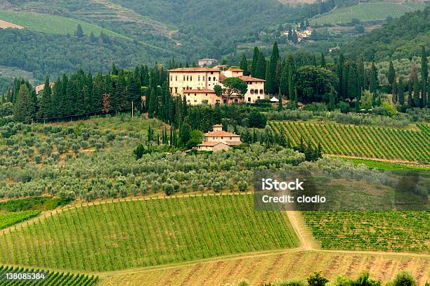 De Viñedos De Chianti Toscana Foto de stock y más banco de imágenes de Agricultura - Agricultura, Aire libre, Ajardinado