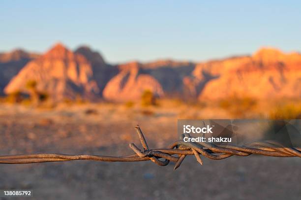 Barbwire Foto de stock y más banco de imágenes de Afilado - Afilado, Alambre, Alambre de espino