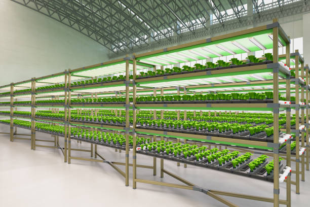 istock indoor farm system raised plants on shelves growth with led light 1380858012