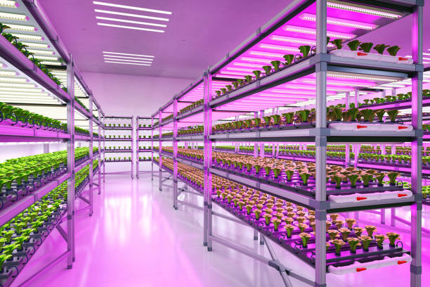 istock indoor farm system raised plants on shelves growth with led light 1380858013