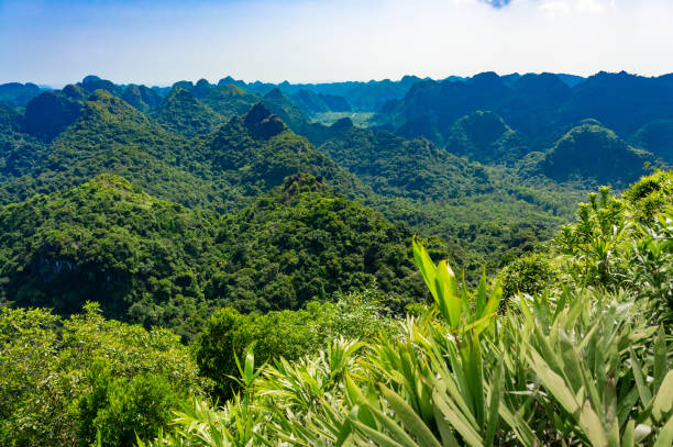 istock Beautiful mountain viewpoint from Cat Ba Island 1380860187