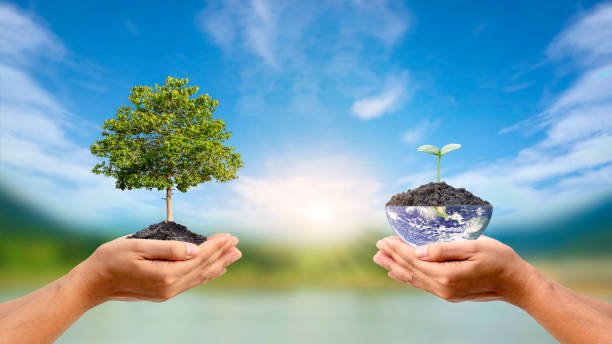 istock Environment day concept and environmental conservation. Volunteer hands hold trees and globes for ecological sustainability. Elements of this image furnished by NASA 1380873357
