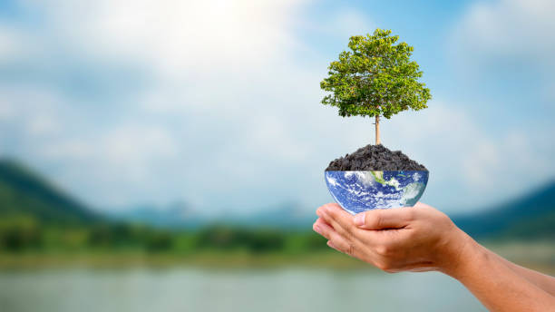 istock Planting trees on the earth by hand for environmental sustainability.Environmental day concept and environmental conservation. Elements of this image furnished by NASA 1380873363