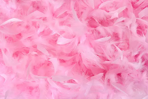 Fluffy boa pile made of bird feathers. Soft romantic background