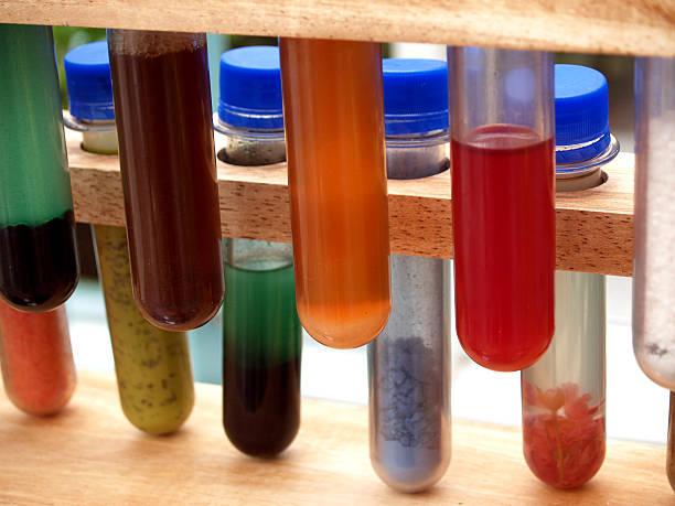 Test Tubes stock photo