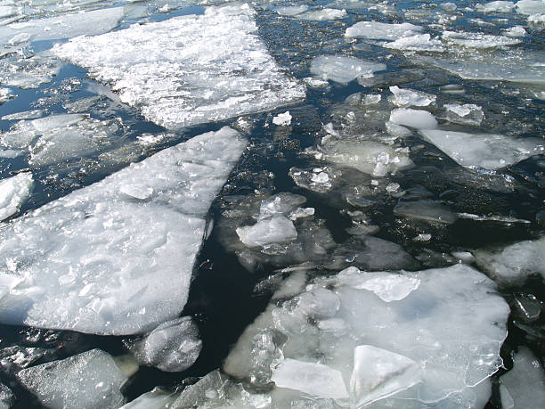 Photo of floating ice