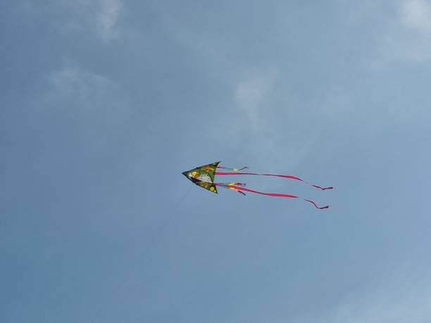 istock Kite flying in the sky with the wind on the beach. no edit. 1380886420