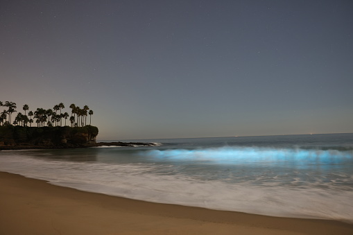 Bioluminescence at Crescent Bay in Laguna, California