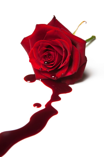 Red rose with blood flowing out of its heart