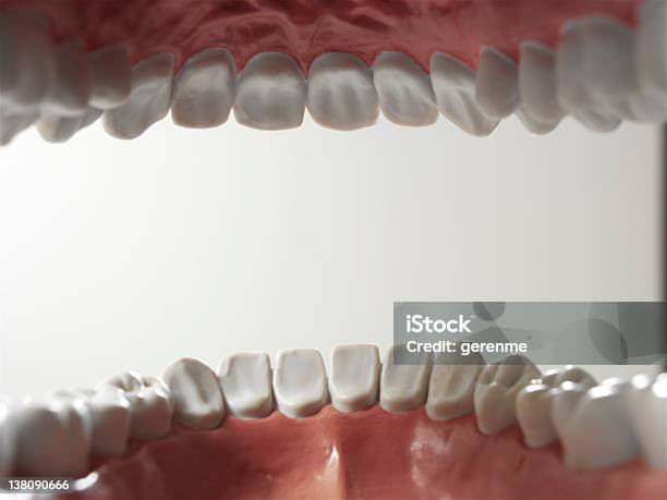 Otwarte Usta - zdjęcia stockowe i więcej obrazów Anatomia człowieka - Anatomia człowieka, Ból zęba, Część serii