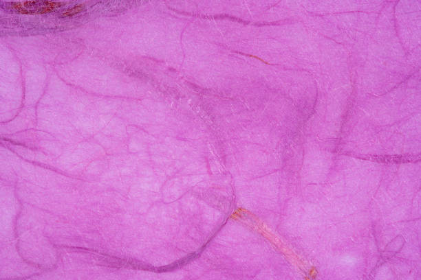 istock Purple Japanese paper 1380907541