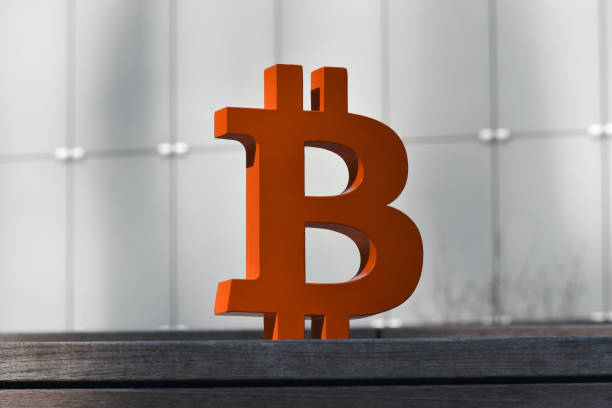 istock Bitcoin Visiting A Park In Lower Manhattan III 1380911295