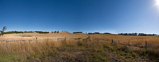 istock Farm land near Bathurst NSW Australia 138091679