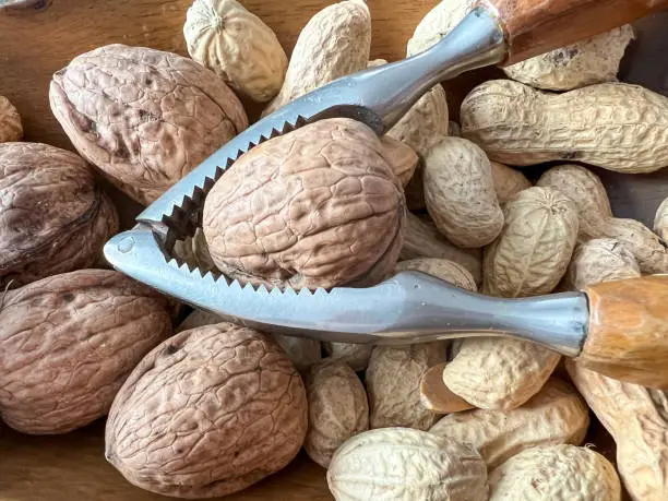 Photo of Peanuts, walnuts and a nutcracker.