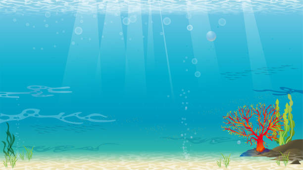 738 Ocean Floor Sand Illustrations & Clip Art - iStock