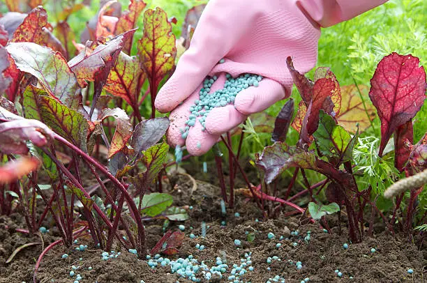 Fertilizer to pour in hands