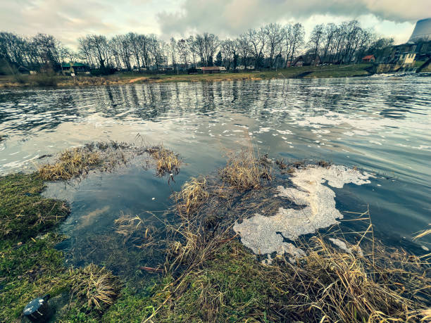 Banks of a river in winter.