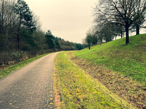 istock A path next to a forest and a meadow in winter in rainy weather. 1380951765