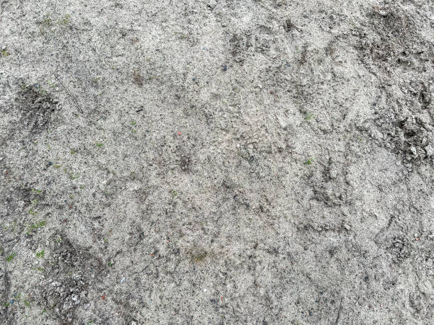 Fine sand on the lake as texture or background.