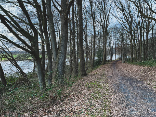 istock A forest path next to the river called 