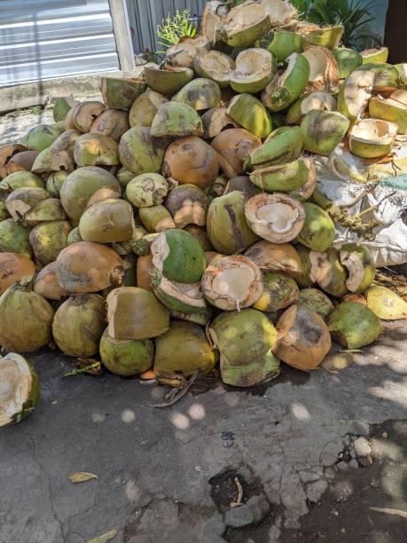 istock Green coconut skin that accumulates 1380964866