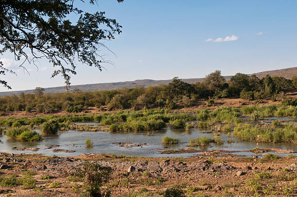 istock River in South Africa 138096881