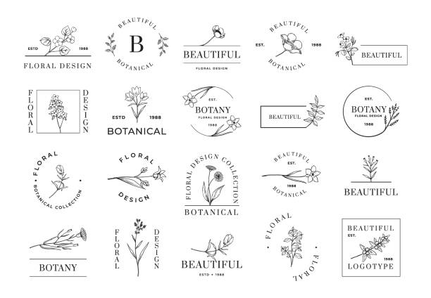 ilustrações, clipart, desenhos animados e ícones de logotipo floral. emblemas botânicos minimalistas para convite de casamento de beleza cosmética e loja orgânica. flores e galhos de plantas. letras e fronteiras. ícones de botânica caligráfica vetorial definidos - botany