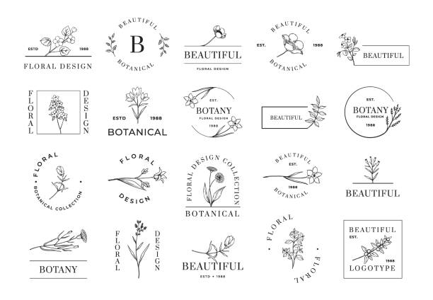 Floral logo. Minimalistic botanical emblems for cosmetic beauty wedding invitation and organic shop. Flowers and plant twigs. Lettering and borders. Vector calligraphic botany icons set Floral logo. Minimalistic botanical emblems for cosmetic beauty wedding invitation and organic shop. Line flowers and plant twigs. Lettering and borders. Vector calligraphic beautiful botany icons set botany stock illustrations