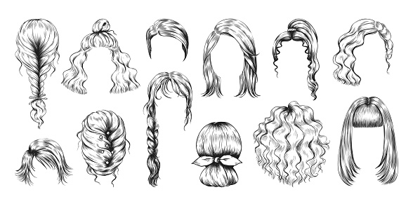 Hand drawn haircut. Female wig sketch. Womans long and short hairstyles. Girls beauty salon models. Stylish coiffure with braid, ponytail and bun. Vector glamour hairdo pencil drawing isolated set