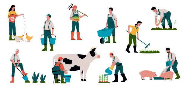 Vector illustration of Agriculture and animal farm. Cartoon farmers work in field. People feed livestock or milk cow. Gardeners sell crops and take care of plants. Organic food. Vector farmland workers set