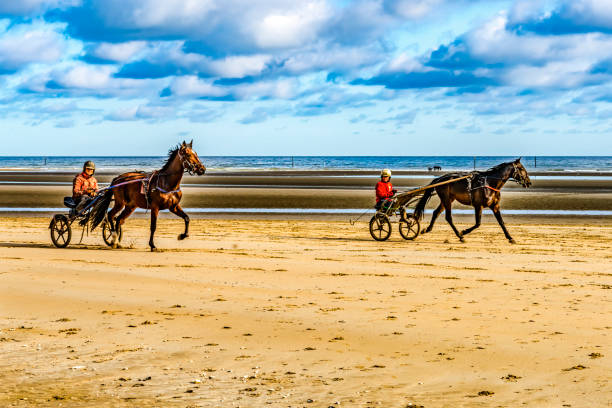 Horses Sulkies Utah D-day Landing Beach Normandy France stock photo