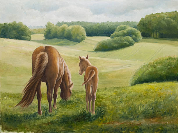 oilpainting - mare and foal - genç kısrak stock illustrations