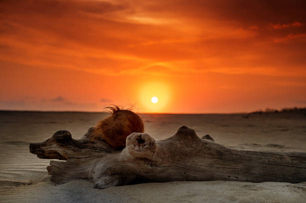 Coast dunes beach sea, sunset, sunrise