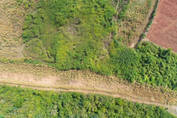 istock Aerial view of summer field grassland 1380978035