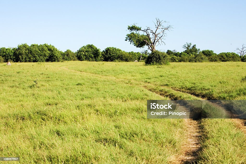 Afrikanische Savanne Landschaft - Lizenzfrei Abenteuer Stock-Foto