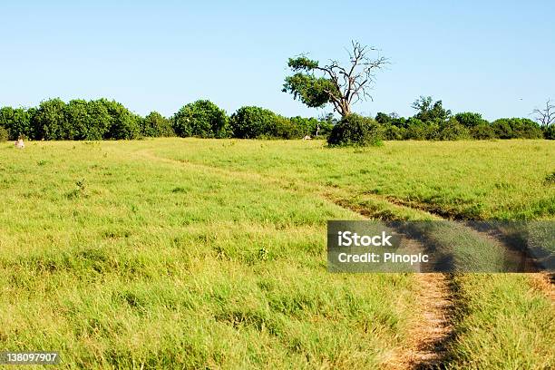 Afrikanische Savanne Landschaft Stockfoto und mehr Bilder von Abenteuer - Abenteuer, Abgeschiedenheit, Afrika